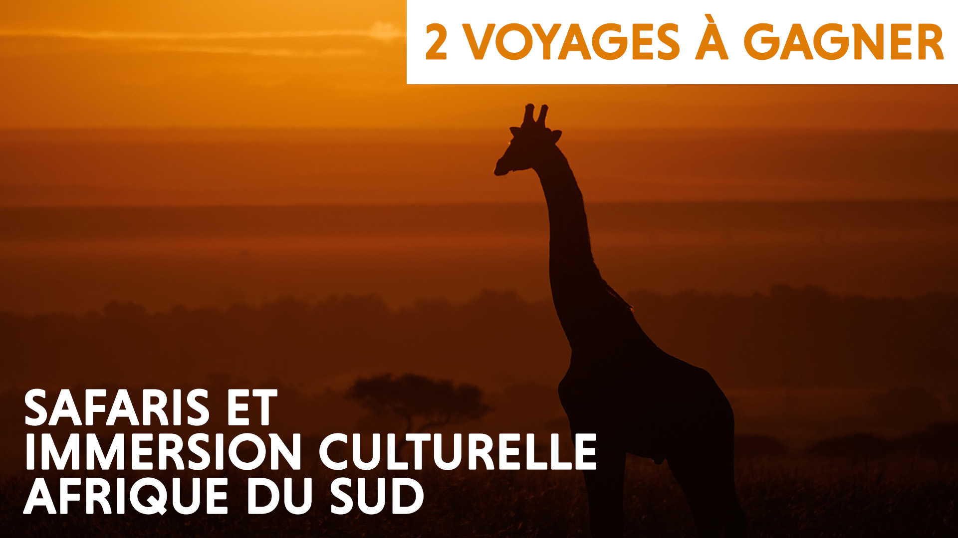 Concours_AfriqueduSud